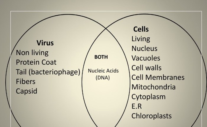 Viruses bacteria venn mosaicism frontiers