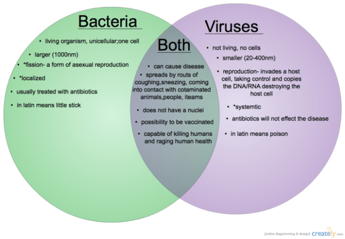 Venn viruses