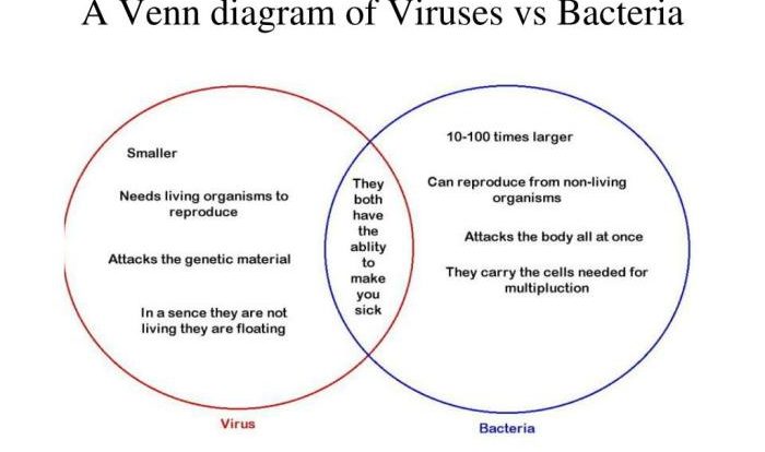 Venn pneumonia bacteria diagnosis viruses emcrit onset