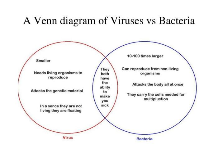 Venn pneumonia bacteria diagnosis viruses emcrit onset