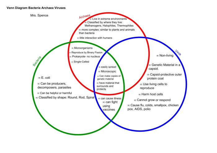 Virus and cell venn diagram