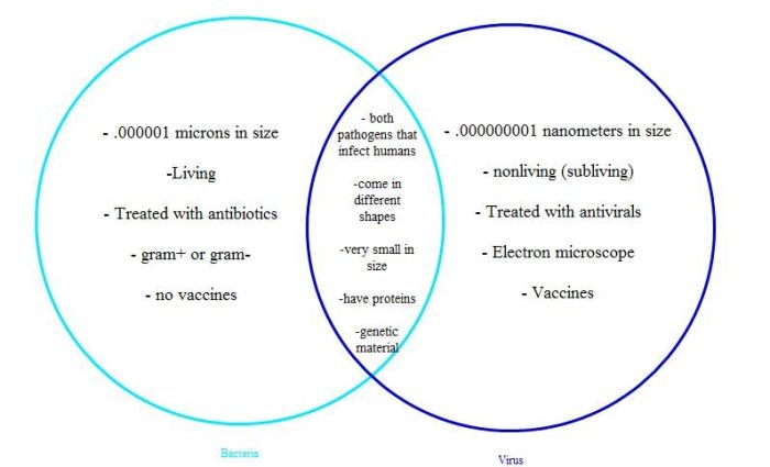 Virus and cell venn diagram