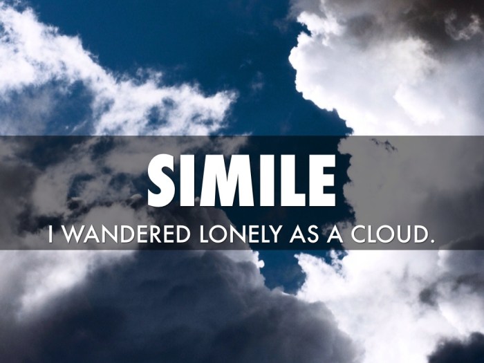 Figurative language in i wandered lonely as a cloud