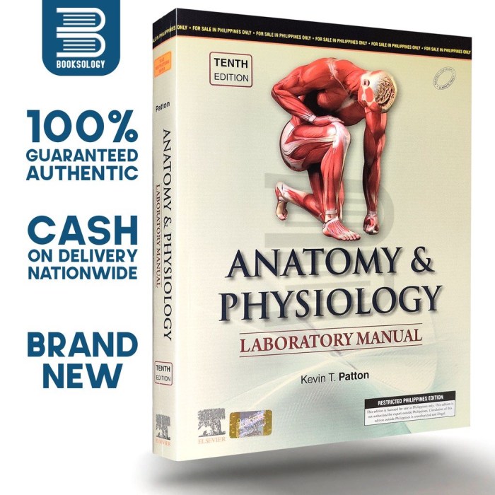 Answer key to human anatomy and physiology laboratory manual