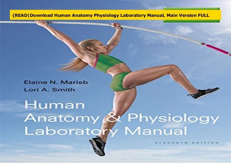 Answer key to human anatomy and physiology laboratory manual