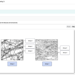 Labeling tissue solved adipose smooth tissues transcribed