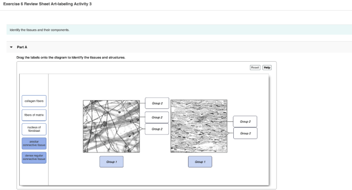 Labeling tissue solved adipose smooth tissues transcribed